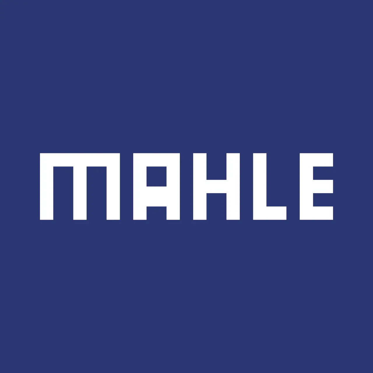 Logo Metal Leve