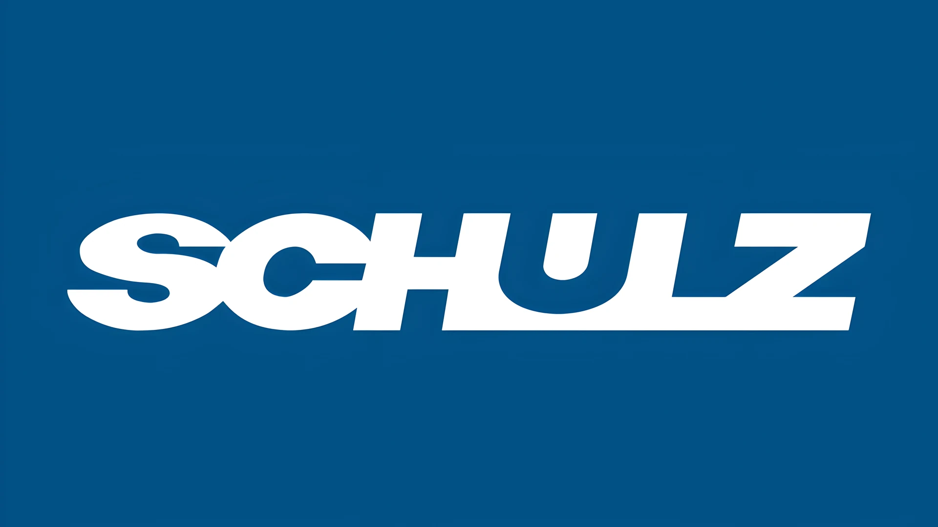 Schulz (SHUL4, SHUL3) approves R$ 0.08 per PN share in interest on equity (JCP)